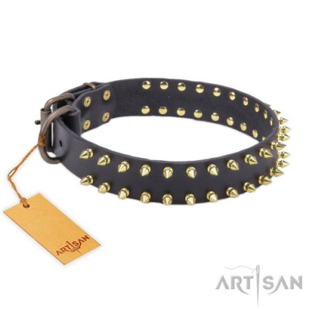 Robustes Halsband aus Leder mit Messing Spikes an beiden Kanten