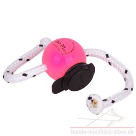 Rosa Fun-Ball Super Soft mit Multi Power-Clip für Welpen