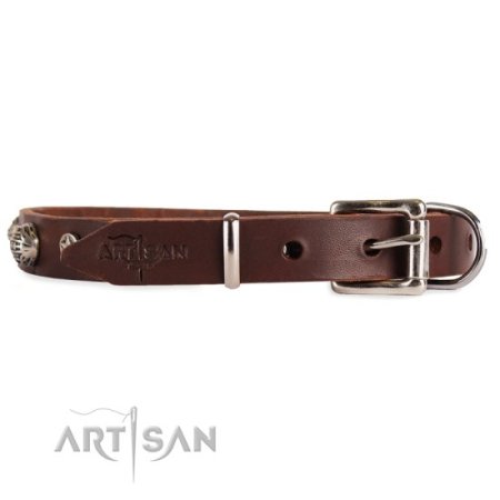Halsband Leder 2 cm für tägliche Aktivitäten mit Dekor