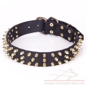 Leather Collar with spikes