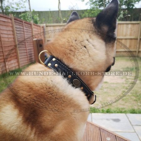 Luxus Hundehalsband aus Leder, 5 cm breit und Luxus-Leine mit Handschlaufe
