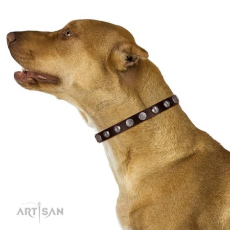 Elegantes Leder Halsband mit runden Platten Dekor