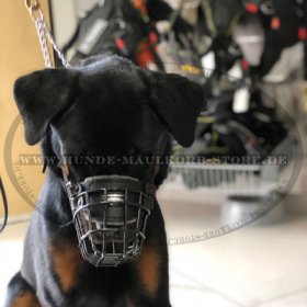 Basket Dog Muzzle, covered by black rubber for Rottweiler