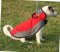 Dog Coat for Jack Russell Terrier | Modern Dog Cloak