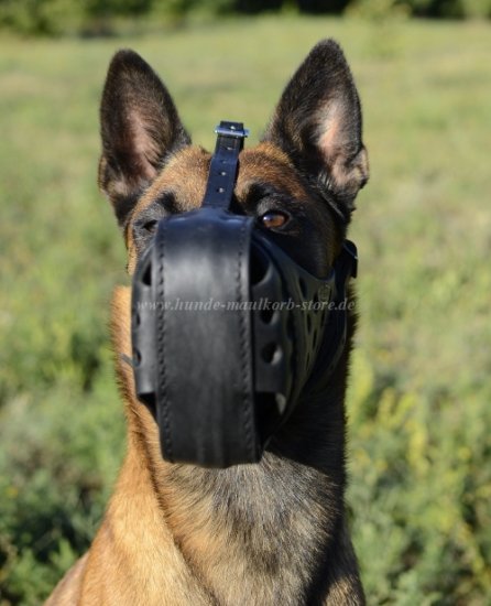 Leather Dog Muzzle for Belgian Malinois "Dondi plus"