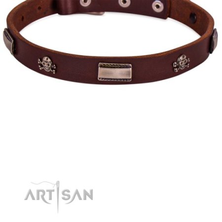 Hundehalsband aus Leder mit Piraten Nieten