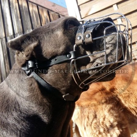 Wire Basket Dog Muzzle for Cane Corso