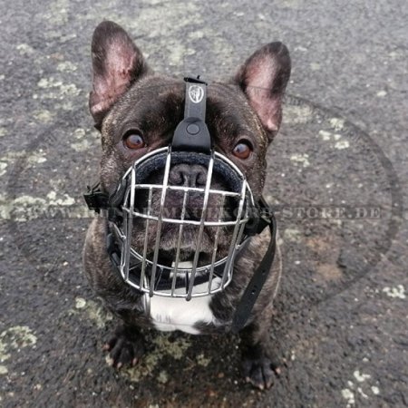 Wire Basket Dog Muzzle for French Bulldog