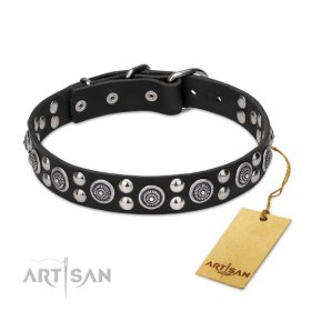 Leather Collar with the Mix of big and small Studs