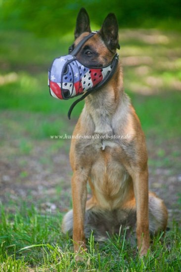 Maulkorb aus Leder für Belgischen Malinois, USA Flagge