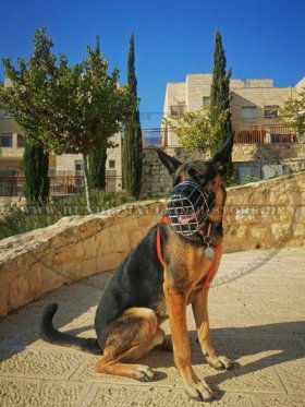 Wire dog muzzle for German Shepherd