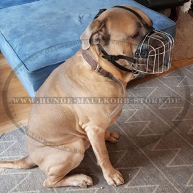 Wire Basket Dog Muzzle for Cane Corso