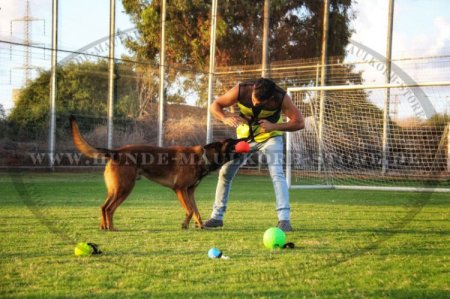 Grünes Spielzeug Hundeball für große Hunderassen, 15 cm