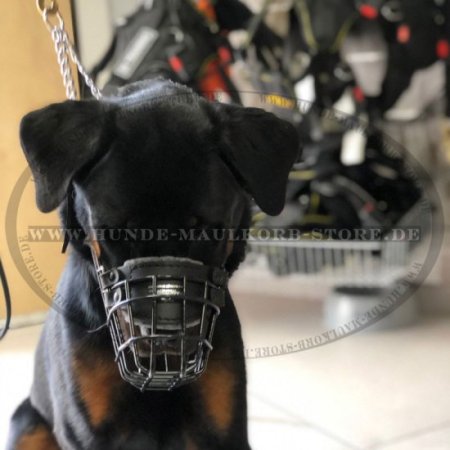 Drahtmaulkorb für Rottweiler | Gummierter Hundemaulkorb 2020