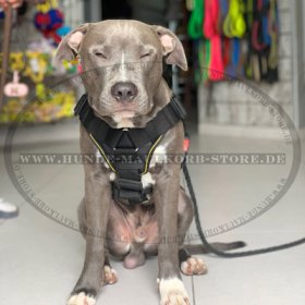 K9 Hundegeschirr Nylon | Sportgeschirr für Alle Hunderassen