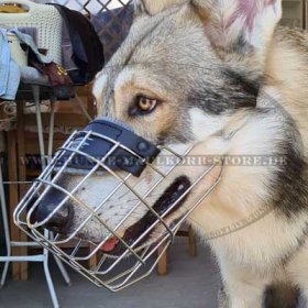Großer Hundemaulkorb aus Draht mit Polsterung für Wolfshund