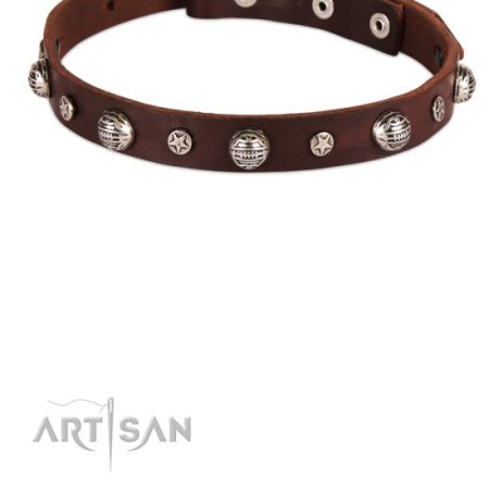 Halsband Leder 2 cm für tägliche Aktivitäten mit Dekor