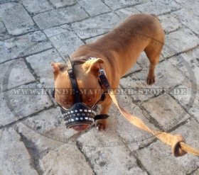 Pitbull Muzzle with Antibarking Design with Studs Royal