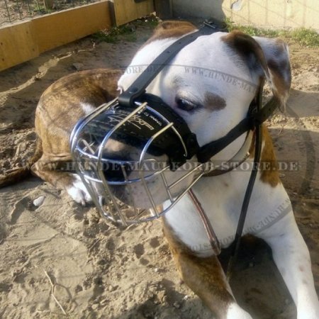 Wire Basket Dog Muzzle for Amstaff