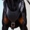 Leder Geschirr für Dobermann | Geschirr K9 für Hundesport