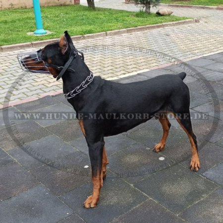 Drahtmaulkorb Dobermann