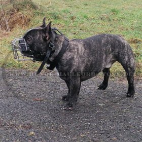 Wire Basket Dog Muzzle for French Bulldog