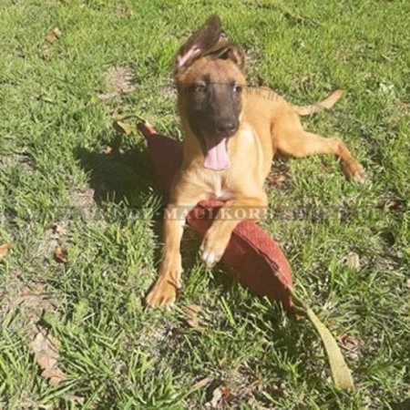 Training Dummy für Malinois aus French Linen mit 2 Griffen