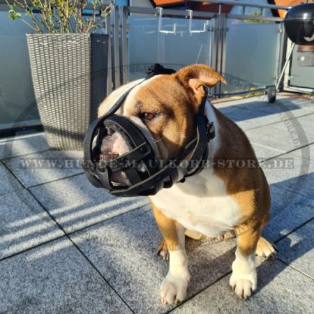 Robuster Hundemaulkorb Leder mit guter Luftzirkulation für Continental Bulldog