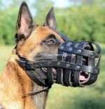 Maulkorb Leder für Malinois, Hochwertigster Beißkorb 2019