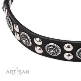 Leather Collar with the Mix of big and small Studs