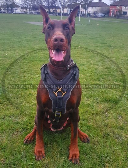 K9 Hundegeschirr für Dobermann Hund