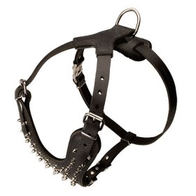 Exklusives Brustgeschirr aus starkem Leder mit Spikes Dekor