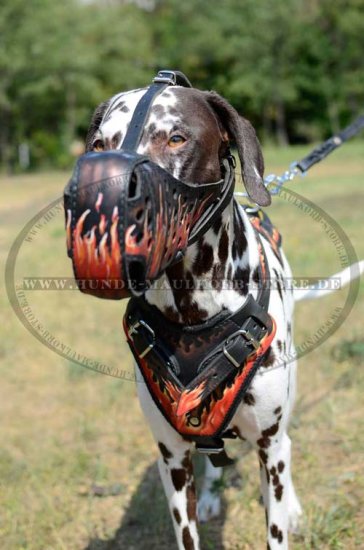 Hundegeschirr aus Leder mit Design Flamme | Dalmatiner Geschirr - zum Schließen ins Bild klicken