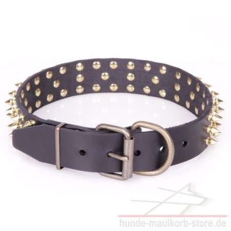 Dornen Hundehalsband Leder mit Messing Dekor