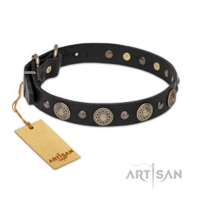 Leather Collar with the Mix of big and small Studs