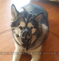 Alaskan Malamute exklusives Hundemaulkorb aus Leder Alaskan Malamute exklusives Hundemaulkorb aus Leder