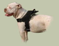 American Bulldog Nylon K9 multi-purpose dog harness H6