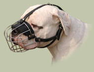 Wire Basket Dog Muzzle for American Bulldog