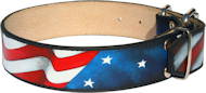 Unique Handpainted "American pride" dog leather collar