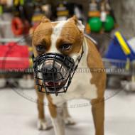 Wire Basket Muzzle for Winter for mix breed