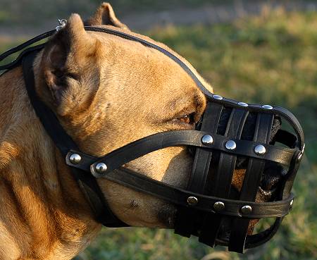 Light leather dog muzzle