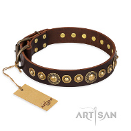 https://www.hunde-maulkorb-store.de/images/Attraktives-dunkel-braunes-Designer-Halsband-FDT.jpg