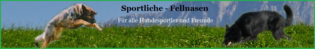 Banner Sport mit Hunden