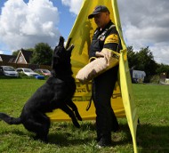 Wurfarm für Hund Jedes Alters | Beißarm für Hunde und Welpen