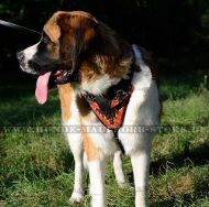 Bemaltes Hundegeschirr Boxer für Moskauer Wachhund Bemaltes Hundegeschirr Boxer für Moskauer Wachhund