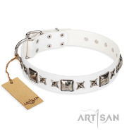 Ledernes Hundehalsband von FDT Artisan weiss