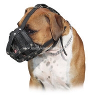 Boxer Hundemaulkorb Leder Bestseller