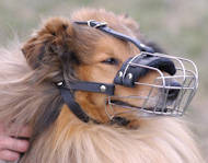 Wire Basket Dog Muzzle for Collie