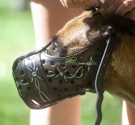 Leather Muzzle for Malinois | Designer Dog Muzzle for Attack