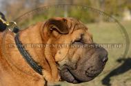 Shar-Pei Zug Halsband mit Flechten